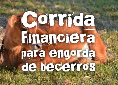 Proyección Financiera para Engorda de Becerros
