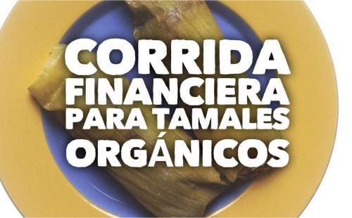 Proyección Financiera para Tamales Organicos