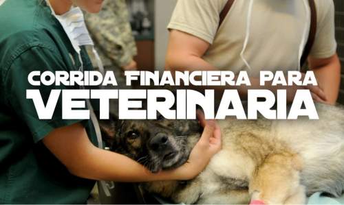 Proyección Financiera para Veterinaria