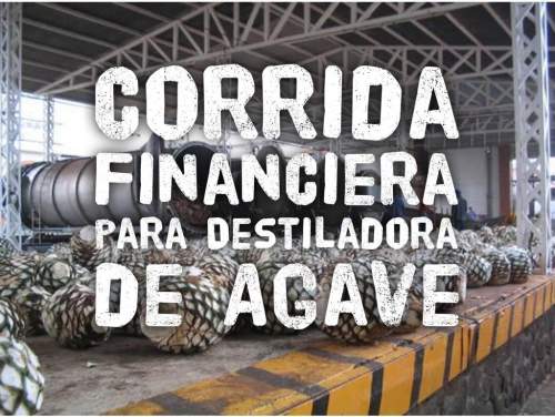 Proyección Financiera Para Destiladora De Agave
