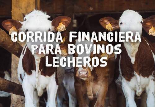 Proyección Financiera para Proyecto Bovinos Lecheros
