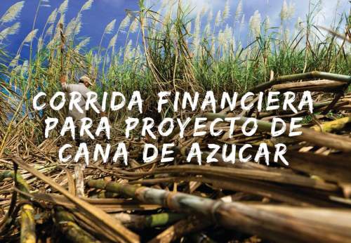 Proyección Financiera para Proyecto Caña De Azúcar