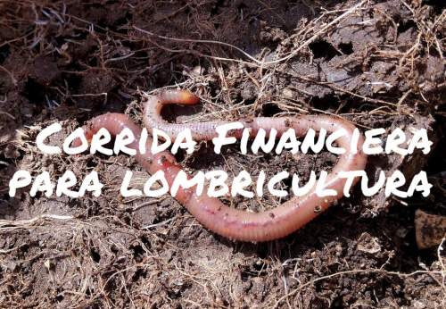 Proyección Financiera para Proyecto de Lombricultura
