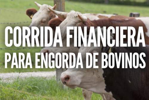 Proyección Financiera Para Proyecto Engorda De Bovinos