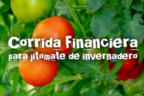 Proyección Financiera para Jitomate En Invernadero