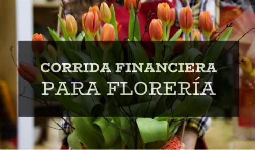 Proyección Financiera para Florería