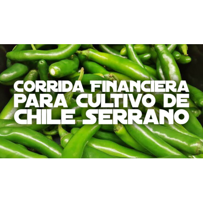 Proyección Financiera para Cultivo de Chile Serrano
