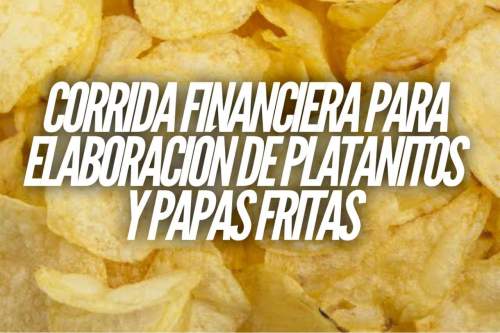 Proyección Financiera para Elaboración de Platanitos y Papas Fritas