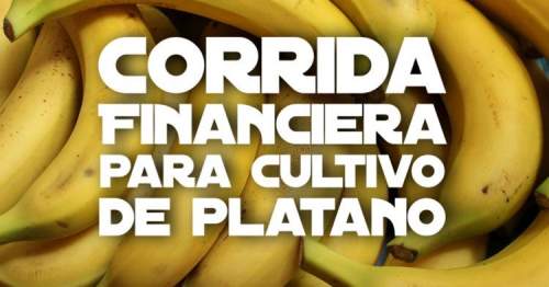 Proyección Financiera para Cultivo de Plátano