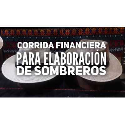 Proyección Financiera para Elaboracion de Sombreros