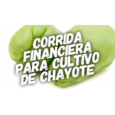 Proyección Financiera para Cultivo de Chayote