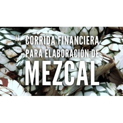 Proyección Financiera para Fábrica de Mezcal