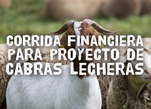 Proyección Financiera para Cabras Lecheras