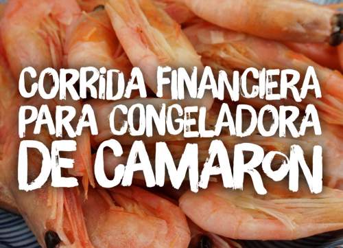 Proyección Financiera para Congeladora de Camarón