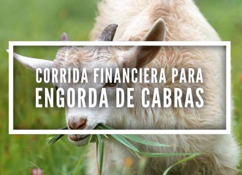 Proyección Financiera para Engorda de Cabras
