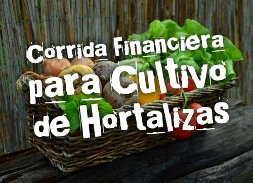 Proyección Financiera para Cultivo de Hortalizas