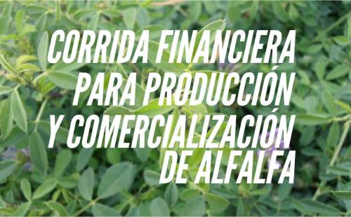 Proyección Financiera para Produccion y Comercializacion de Alfalfa