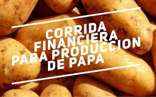 Proyección Financiera para Produccion de Papa