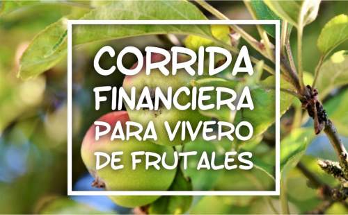 Proyección Financiera para Vivero de Plantas Frutales