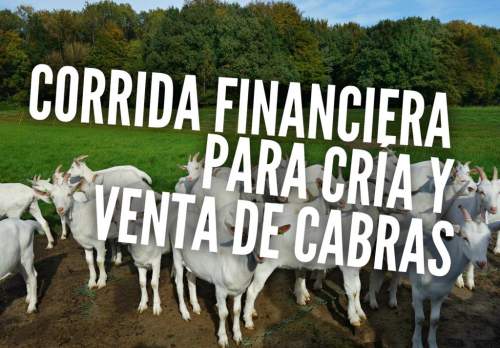 Proyección Financiera para Cría y Venta de Cabras