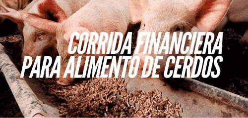 Proyeccin Financiera para Alimento de Cerdos