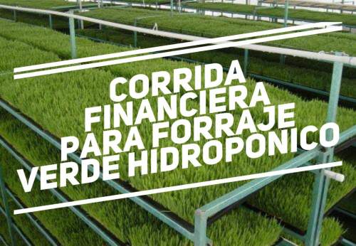 Proyección Financiera para Forraje Verde Hidropónico