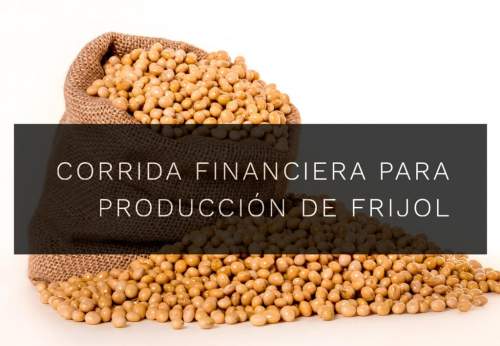 Proyección Financiera para Proyecto de Producción de Frijol