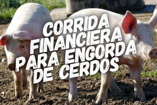 Proyección Financiera para Engorda De Cerdos