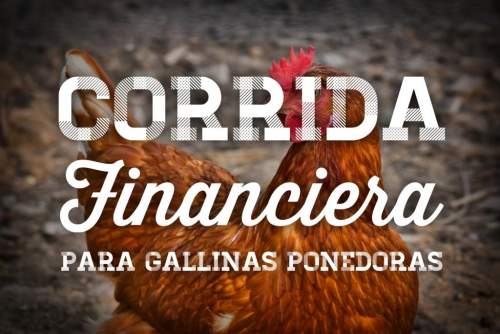 Proyección Financiera Para Proyecto Gallinas Ponedoras