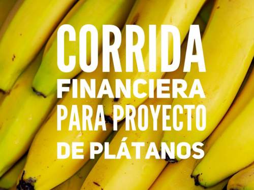 Proyección Financiera para Cultivo de Plátano