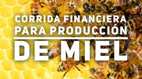 Proyección Financiera para Producción De Miel Apícola