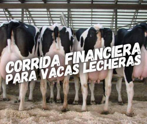 Proyección Financiera para Vacas Lecheras