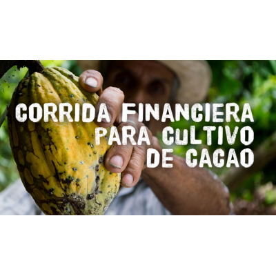 Proyección Financiera para Cultivo de Cacao