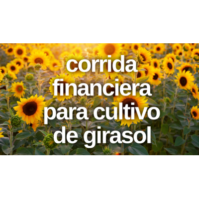 Proyección Financiera para Cultivo de Girasol