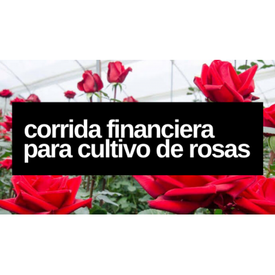 Proyección Financiera para Cultivo de Rosa en Invernadero