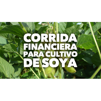 Proyección Financiera para Cultivo de Soya