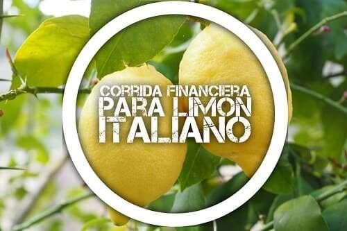 Proyección Financiera para Limón Italiano