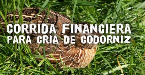 Proyección Financiera para Cria de Codorniz