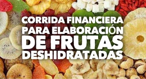 Proyección Financiera para Elaboración de Frutas Deshidratadas