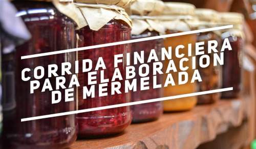 Proyección Financiera para Elaboración de Mermeladas
