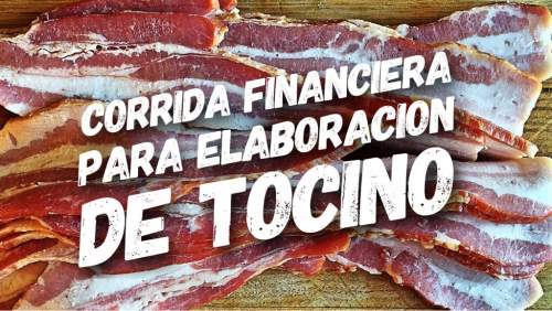 Proyección Financiera para Elaboración de Tocino