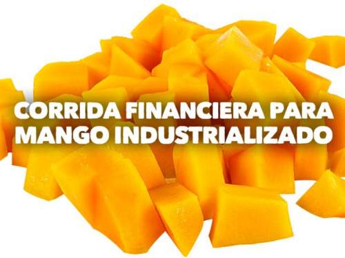 Proyección Financiera para Mango Industrializado